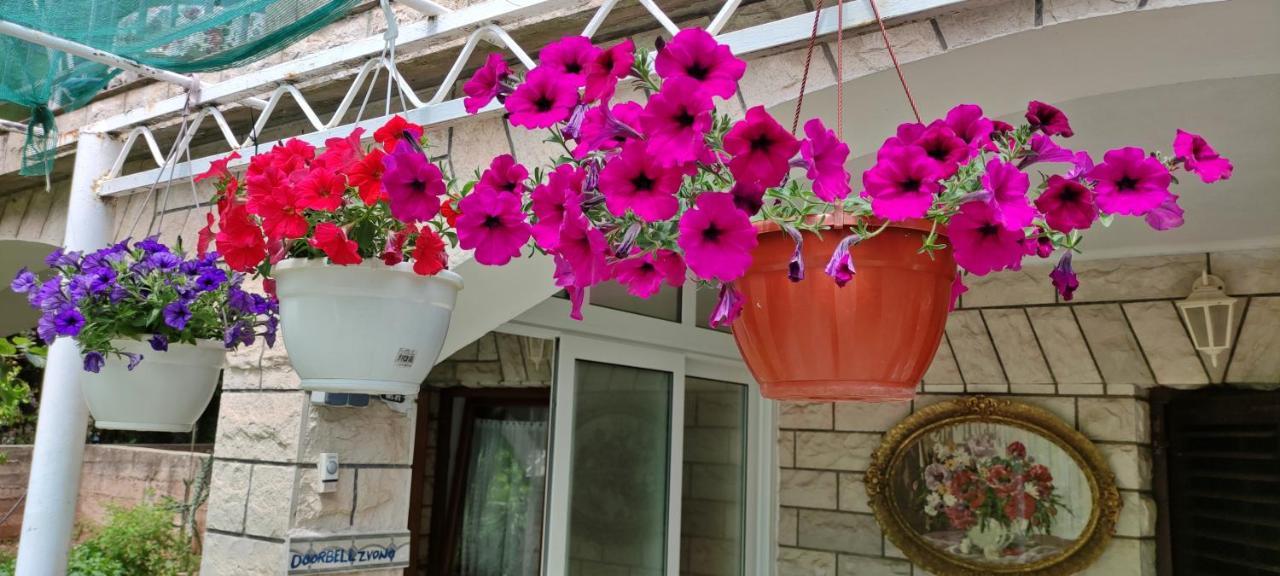 Apartments 1000 Flowers Stari Grad  Dış mekan fotoğraf